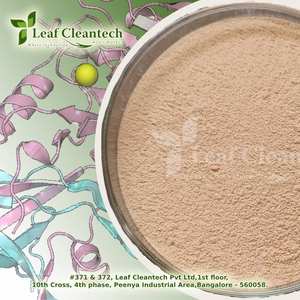Vente en gros de poudre d'enzyme alimentaire de qualité supérieure à protéase acide du fabricant indien de Bangalore Karnataka pour la nutrition - Product Image 3