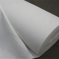 Tissu géotextile non tissé en PET pour la construction routière, le drainage et la séparation des sols, tapis de filtration, rouleau de géotextile