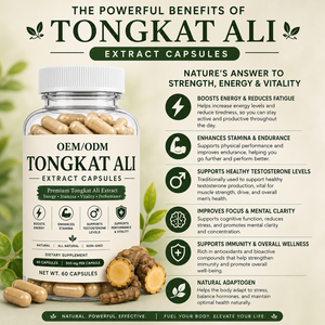 Capsules OEM Tongkat Ali, pur et naturel, extrait d'Eurycoma longifolia Jack, complément alimentaire pour la vitalité, l'endurance et la force des hommes. - Product Image 2