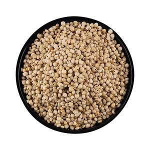 Semillas de Sorgo Blanco Secas de Alta Calidad Premium, Semillas de Sorgo Credence para Alimentación, Disponibles en Grandes Cantidades a Precios de Mayoreo - Product Image 2