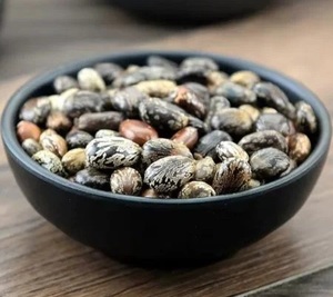 Semillas de Ricino Limpias 100% Naturales - Product Image 2