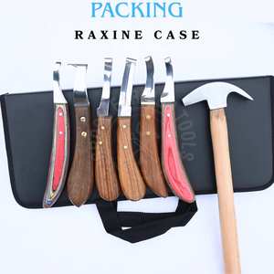 Kit de couteaux de fermeur pour sabots avec marteau de fermeur, couteau à anse pour abcess Rainbow, couteau à lame étroite double face D et couteau à sabot classique - Product Image 5