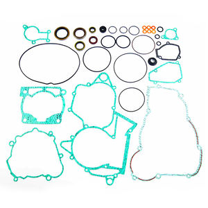 BETA RR 250/300 XTRAINER RR 2T 2014-2021 Juego completo de juntas Sello de aceite del motor (34 PCS) - Product Image 1