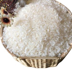 VILACONIC Estándar DE LA UE Secado Blanco Japonica Arroz de grano corto Origen vietnamita con textura dura Teléfono + 84398885178 - Product Image 1