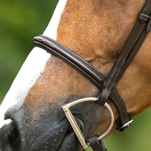Brida de cuero para caballo estilo inglés de gran venta con cabezada y riendas en negro, marrón, tostado y variedad de colores con servicio OEM - Product Image 6