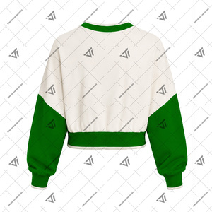 Wholesale Greek Iota Phi Lambda Sorority Clothing <b>Women</b>’s Embroidered 1929 Colorblock <b>Crop</b> Sweatshirt Top - Product Image 2