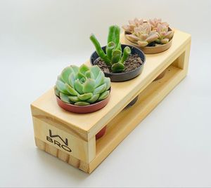 Lot de supports à plantes carrés miniatures en bois, modernes, faits à la main, écologiques, qualité supérieure, pour Ramadan et mariages, prix de gros usine - Product Image 1