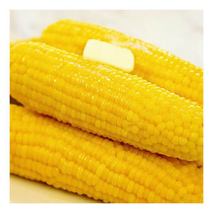 Maíz Amarillo Orgánico Fresco de Primera Calidad, Semillas de Maíz Dulce Crudas a Granel en Bolsas de 50 kg - Product Image 4