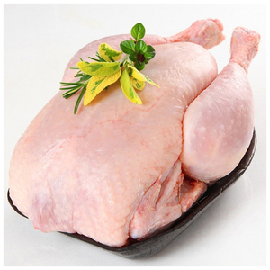 Pollo Entero Congelado Halal de Calidad - Product Image 4