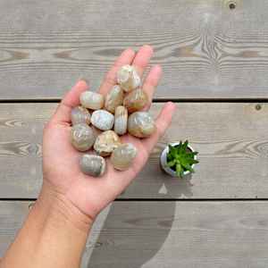 Pierre de Dendrite de Tigre Naturelle Polie 2-3 cm pour Décoration, Artisanat et Collection de Cristaux - Product Image 1