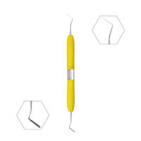 Surbana Instrument dentaire manuel Spatule de remplissage en résine composite Kit d'hygiène Outil de dentisterie