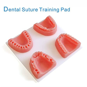 Kit d'entraînement aux sutures de qualité supérieure en acier inoxydable allemand pour la pratique chirurgicale - Product Image 4