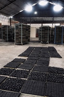 Charbon Ahsan 100% naturel en coque de noix de coco, briquettes pour chicha, qualité supérieure, forme Nuvo, longue durée, haute valeur calorifique