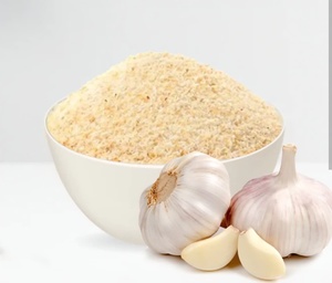 Ajo en Polvo Ocean Link Exim, Calidad Premium, Molido Fino, Condimento para Cocinar, Procesamiento de Alimentos, Suministro a Granel, 18 Meses de Duración - Product Image 2