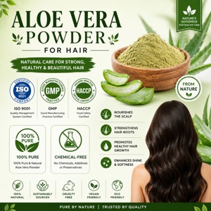 Approvisionnement en gros de poudre d'aloe vera déshydratée 100% pure, poudre d'aloe vera de qualité cosmétique supérieure pour les soins de la peau et des cheveux - Product Image 4