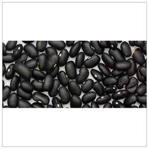 Haricots noirs riches en protéines, exportateur en gros, haricots de qualité supérieure pour restaurants, vente au détail et services alimentaires - Product Image 2