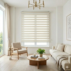Manual Dual Layer Built-In Polyester French Style All-Season Roller <b>Shades</b> with Light Filtering and Customizable Options - Product Image 2