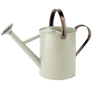 Arrosoir en métal au design classique pour l'arrosage des plantes de jardin, la maison, le camping en plein air, les voyages et le rangement - Product Image 1