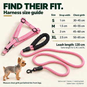 Harnais pour chien réglable en polyester et laisse de 120 cm avec poignée en mousse, vente en gros, OEM ODM - Product Image 4