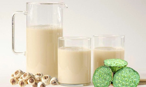 Fournisseur de poudre de lait de lotus OEM, poudre de lait de lotus en vrac, poudre de lait de lotus pour boissons ANGLE - Product Image 4