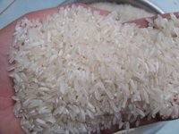 Riz Blanc Biologique Long Grain Pas Cher Prix par Tonne 5% Brisures Séchées 5kg 100% Pur Sans Gluten Vente en Gros en Vrac Texture Ferme