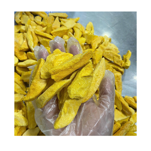 Wholesale Organic Freeze-Dried Mango Fruit 1kg 3.52oz Bulk Vacuum Pack Sliced Ho Chi Minh City Vietnam Sugar-Free - Product Image 1