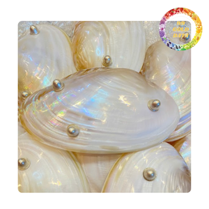 Mother of pearl dish from Viet Nam | Item for decoration and gifting - Product Image 2