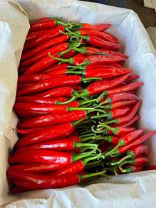 IQF Frozen <b>Red</b> <b>Hot</b> Chili Pepper Whole Natural Premium Quality Vietnam Supplier - Product Image 5