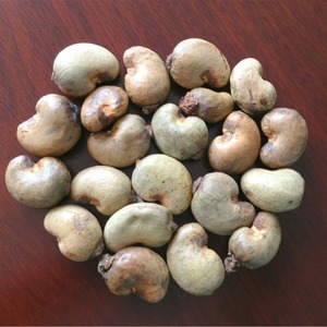 Premium Cashew <b>Nuts</b> <b>Kernel</b> Manufacturer Food Grade Wholesale Bulk Supply - Product Image 5