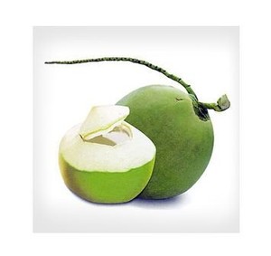 มะพร้าวน้ำหอมสดจากเวียดนาม - คุณภาพพรีเมียม รสหวานธรรมชาติ - ราคาขายส่งที่ดีที่สุด // คุณทอม - Product Image 6