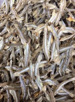 Anchois séchés en gros, Anchois séchés, Fruits de mer séchés, Fabricant de produits de la mer, Anchois séchés en vrac, Anchois séchés au soleil avec sel