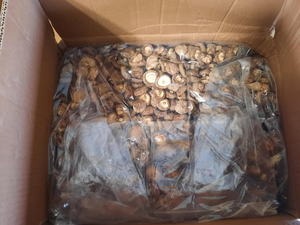 HIGH QUALITY Vietnam Whole Dried Shiitake Mushroom Air Dried No Preservatives Natural Deep Brown Color HOT SELLING Worldwide - Product Image 4
