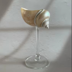 Verre à vin en forme de coquillage pour la décoration de table de bar, la maison, la cuisine, les événements, l'hôtel – Meilleur prix pour la vente en gros - Product Image 1