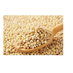 Offre Spéciale : Grains d'orge perlée – Ingrédient alimentaire pour soupes, ragoûts, bouillies, salades, pâtisseries et usage quotidien – Disponible à la vente - Product Image 5