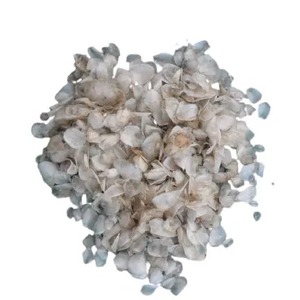 Écailles de Tilapia Séchées de Qualité Supérieure à Prix Abordable, Emballage en Vrac, Poids du Colis, Écailles de Tilapia Séchées - Product Image 3
