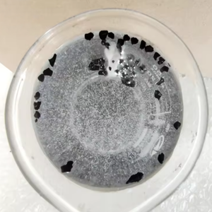 Charbon actif granulaire de coque de noix de coco de qualité supérieure pour la filtration industrielle de l'eau, de l'air et du gaz, haute performance d'adsorption, Inde - Product Image 6