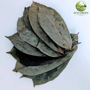 Feuilles de corossol séchées et propres, ingrédient à base de plantes pour infusion de thé, à base de plantes naturelles, approvisionnement en vrac, exportation Vietnam - Product Image 2