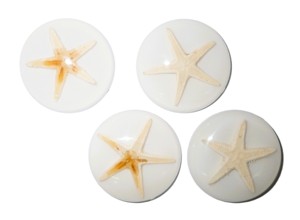 ปลาดาวแท้ พลาสติกคาโบชองทรงกลม 38x38 มม. สีขาว ฐานแบน สำหรับงานฝีมือและทำเครื่องประดับ - Product Image 5