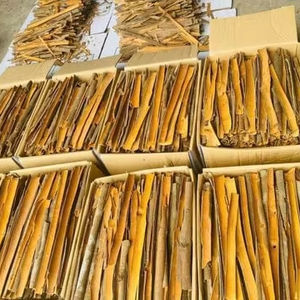 Palitos de Canela Cruda Cassia Más Vendidos, 100% Pura, Calidad Premium, Longitud Personalizable, del Mejor Grado de Vietnam - Product Image 1