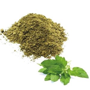 Poudre d'herbes Ocimum Sanctum Tulsi pour le bien-être ayurvédique traditionnel, soins naturels à base de plantes et soutien quotidien à la santé - Product Image 5