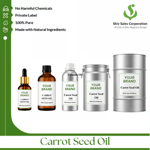 Exportateur d'huile essentielle de graines de carotte naturelle, fournissant des approvisionnements en vrac de qualité supérieure pour les fabricants de produits cosmétiques et les entreprises de beauté - Product Image 4