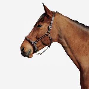 Licol pour cheval en cuir véritable de haute qualité, en acier inoxydable, de forme anatomique, couture artisanale, confortable pour les chevaux - Product Image 2