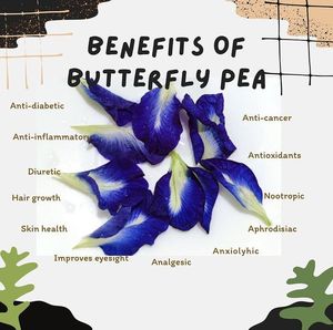 Fleurs de pois papillon séchées de qualité supérieure, pétales bleus naturels pour le thé, l'artisanat, la transformation de boissons, vente en gros, chaîne d'approvisionnement Vietnam - Product Image 2