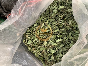 Azúcar natural de Stevia seca Hoja dulce Embalaje OEM Té de hojas de caramelo saludable de Vietnam - Product Image 3