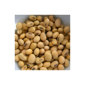 Prix compétitif du VIETNAM : NOUVEAU PRODUIT - Fèves de soja vertes fraîches / Grains de soja non-OGM, riche en protéines et en valeur nutritionnelle, farine de soja - Product Image 2