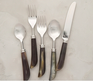 Ensemble de couverts vintage de 5 pièces avec poignées en corne, en acier inoxydable, passe au lave-vaisselle, design argenté, pour la table à manger - Product Image 1