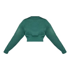 Trend Women Winter Sweatsuit Set Tracksuit Sweatsuits OEM Women Custom logo Sweatpants and Cropped Hoodie Set 2026 - Product Image 2