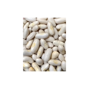 Haricots Blancs Séchés Biologiques de Qualité Supérieure - Vente en Gros à Prix Abordable - Product Image 1