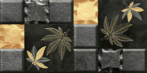 Carreaux muraux Premium Choice de qualité supérieure, carreaux d'élévation Asia Tiles 300x600mm pour articles de santé. - Product Image 2