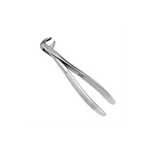 Forceps dentaire en corne de boeuf, manuel, en acier inoxydable, argenté, avec poignée moletée, instrument chirurgical certifié CE de classe I pour molaires inférieures - Product Image 3